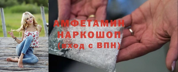 гидра Покачи