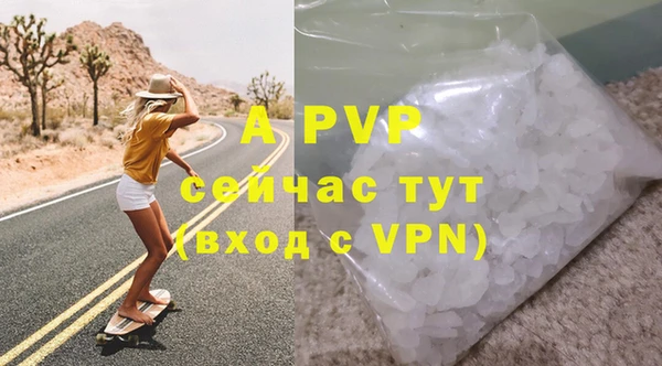 гидра Покачи