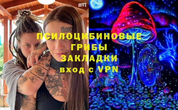 гидра Покачи