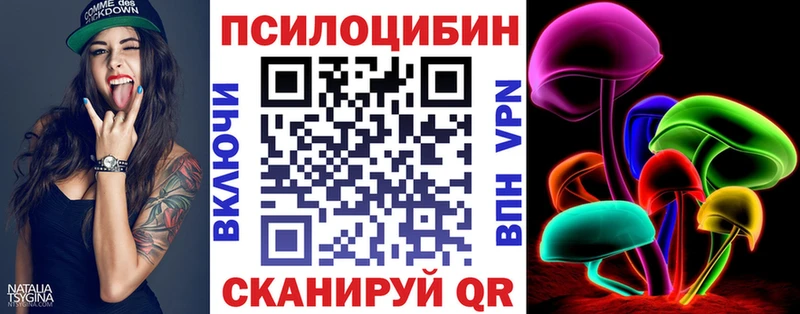 Галлюциногенные грибы Psilocybe  KRAKEN онион  Зерноград 